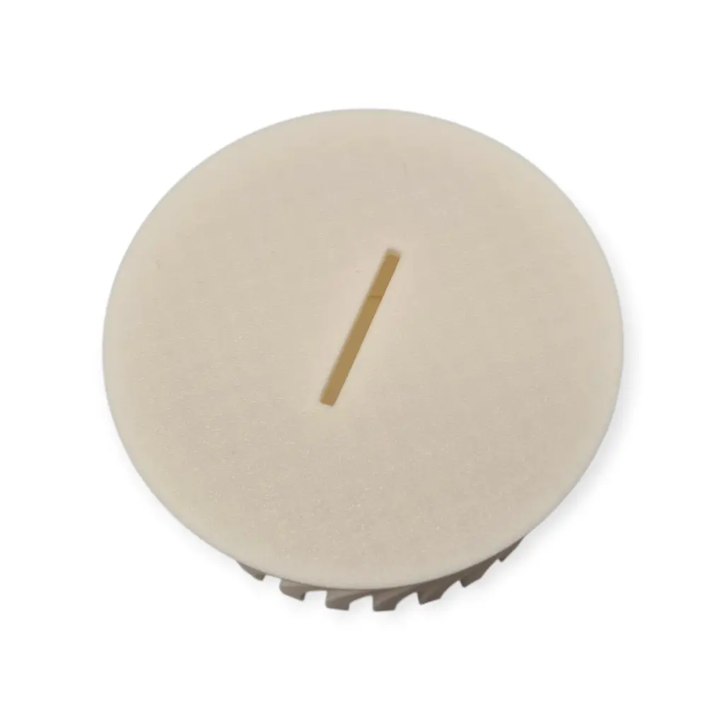 Tzedaka-Dose | Style 2