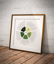 Parascha - die wöchentlichen Toralesungen | 30 x 30 cm Poster