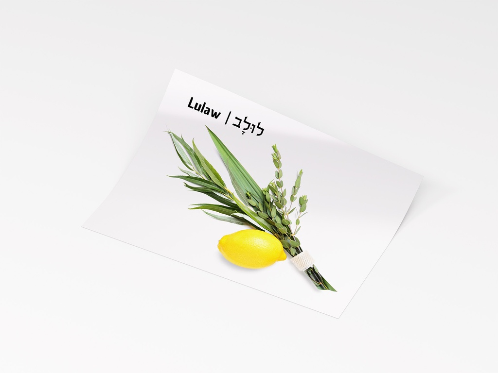 Sticker | Lulav | Set 1.3.a.2