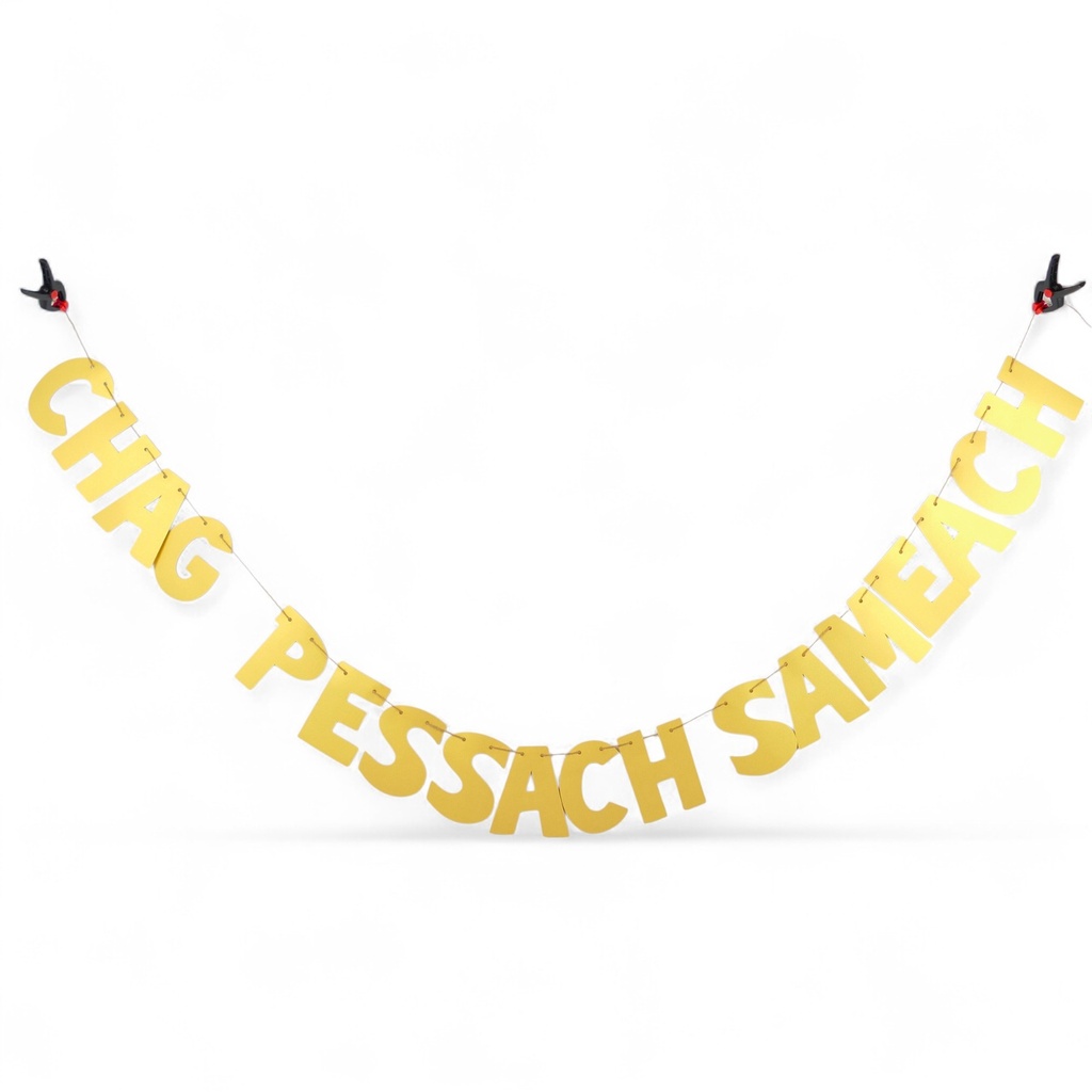 Glänzende Girlande | Chag Pessach Sameach (ein fröhliches Pessach-Fest)