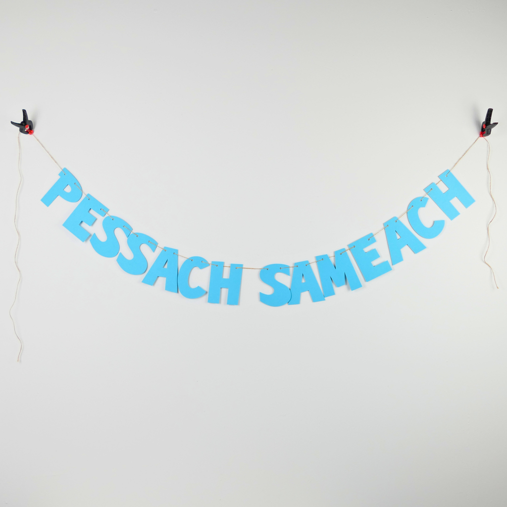 Garland | Pessach Sameach (a happy Passover)