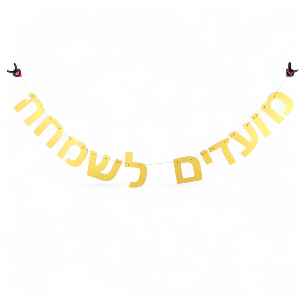 Shiny Hebrew garland | Moadim le'simcha (happy holidays in between)