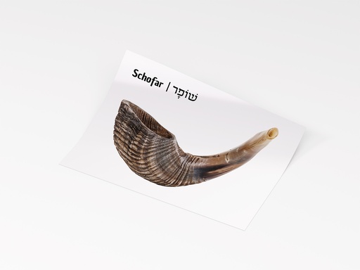 [G0504] Sticker | Shofar | Set 1.3.a.2 