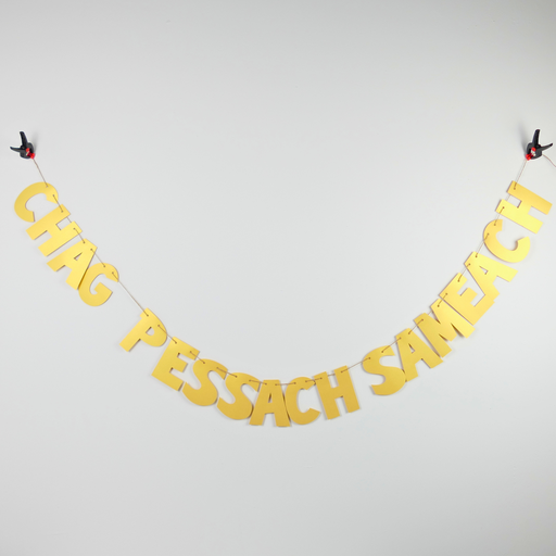 [G0092] Shiny garland | Chag Pessach Sameach (a happy Passover celebration)