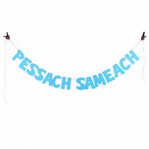 [G0129] Girlande | Pessach Sameach (ein fröhliches Pessach)