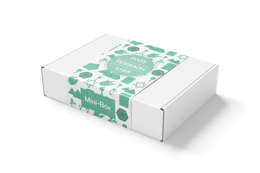 [BOX013] Pessach Minibox | Geschenkbox für Kleinkinder